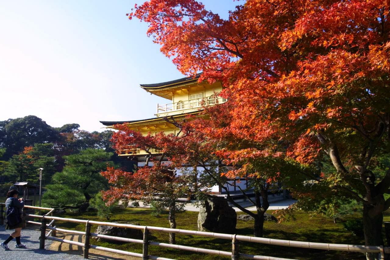 [90] - Goldener Pavillion, Kinkakuji, im Herbst